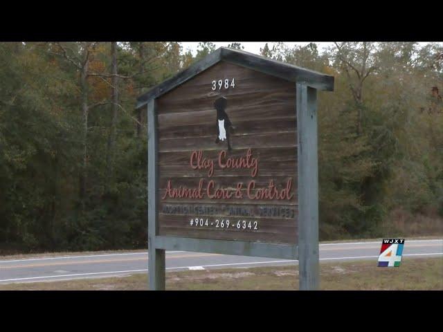 Years in the making: Clay County’s new animal shelter to break ground in 2025