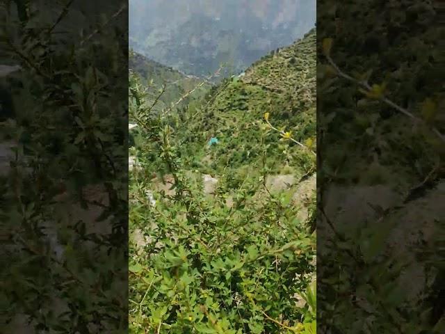 gajab ka view v#chamba #himachalpradesh #manish #trendingvideo #newvideo #vlog #viral #live
