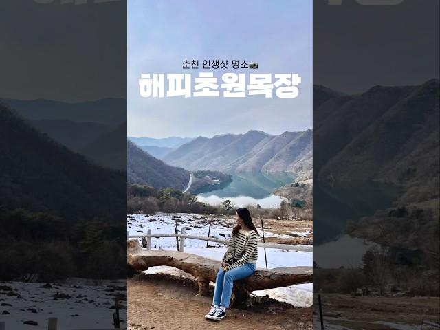 [춘천여행] 해피초원목장(아기양에게 밥 주고 인생샷명소에서 사진도 찍기) #춘천여행 #춘천해피초원목장 #춘천인생샷
