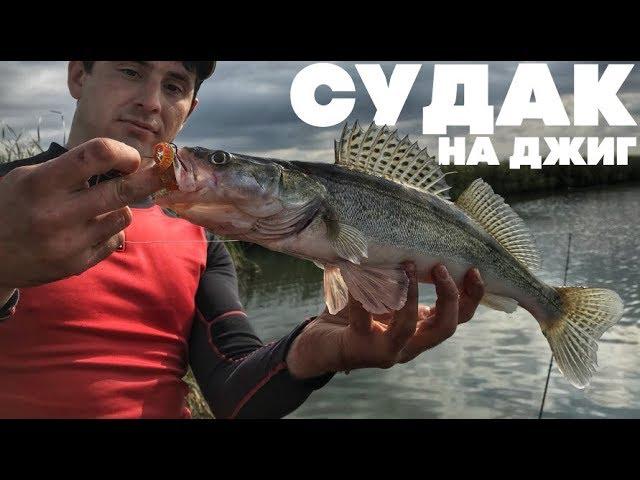 ВОТ ЭТО РЫБАЛКА!!! ЛОВЛЯ СУДАКА. СУДАК ОСЕНЬЮ НА ДЖИГ. Kamfish