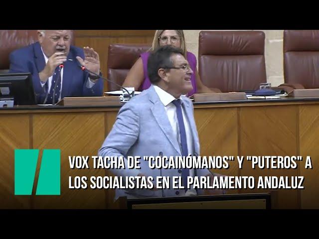 Vox tacha de "cocainómanos" y "puteros" a los socialistas en el Parlamento andaluz