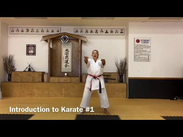 Introduction to Karate #1