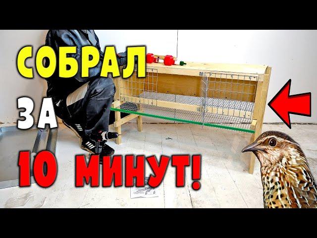 Новая клетка для перепелов. Собрать за 10 минут!