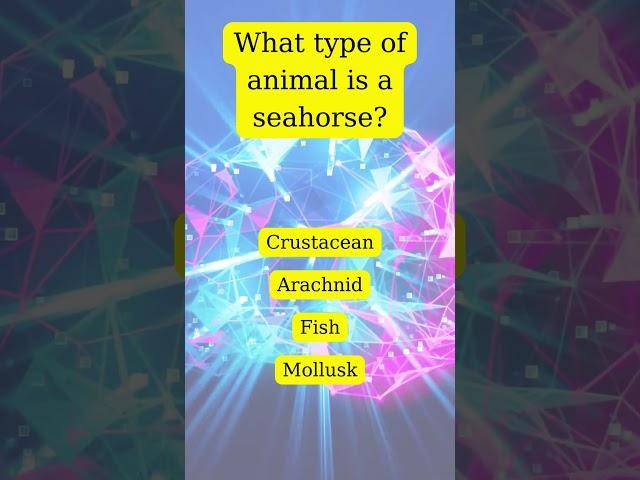 What type of animal is a seahorse?