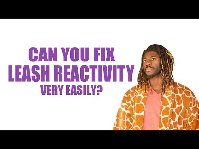 CAN LEASH REACTIVITY BE FIXED