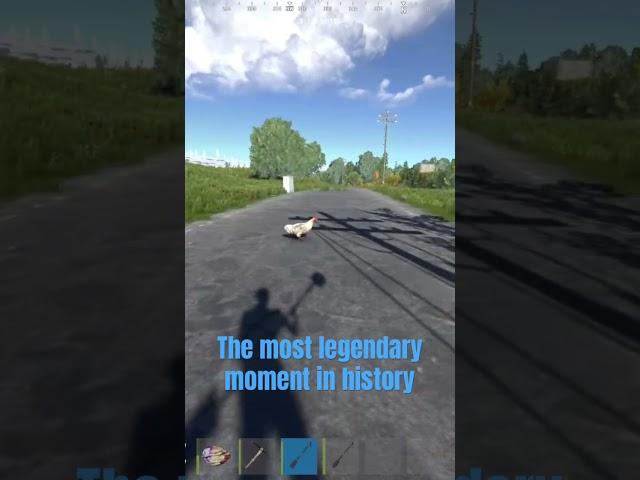 The chicken actually crossed the road #rust #rustgood #beamed #rustneversleeps #blowthisupforme