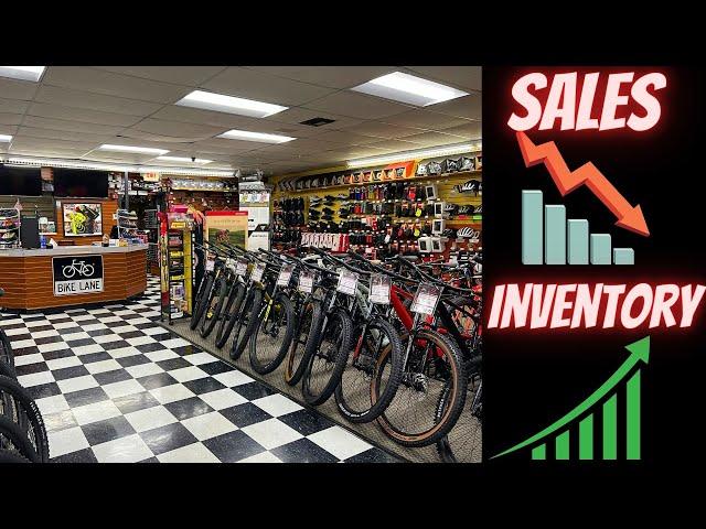 *2023* HOW IS OUR BICYCLE STORE PERFORMING AFTER THE PANDEMIC BOOM?