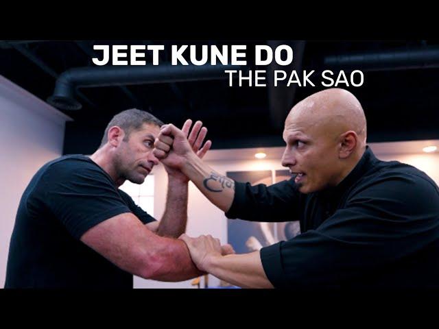 Jeet Kune Do: Mastering The Pak Sao