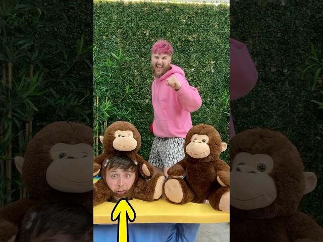 Guess the FAKE TEDDY BEAR!