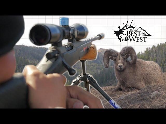 ROCKY MOUNTAIN BIGHORN HUNT (300 PRC)