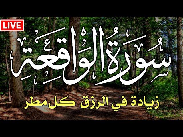 سورة الواقعة كاملة  زيادة في الرزق والبركة في البيت  Surah Al Waqiah