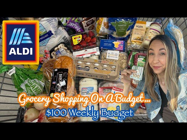 GROCERY SHOPPING ON A BUDGET AT ALDI + MEAL IDEAS