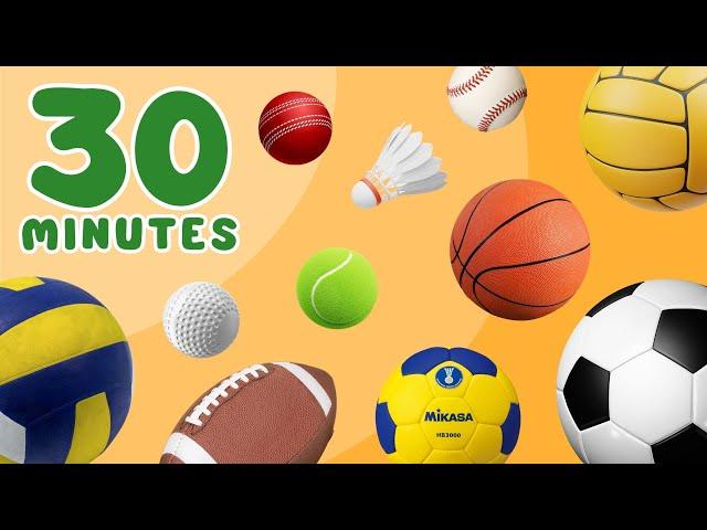 30 Minutes LEARN SPORT BALLS in English for BEGINNERS