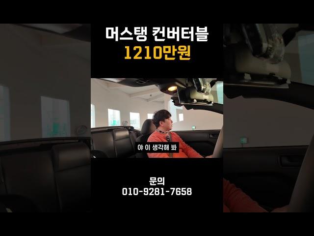머스탱 컨버터블 1210만원