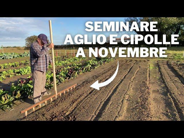 La SEMINA dell’AGLIO e delle CIPOLLE a NOVEMBRE!