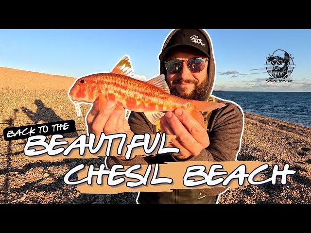 Back To The Beautiful Chesil Beach | Fishing The Mighty Chesil 