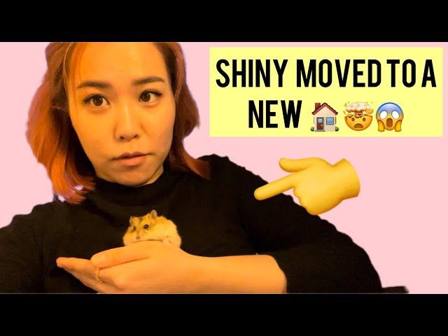 Shiny's New Home | SHINY-ын Шинэ Гэртэй нь Танилцаарай