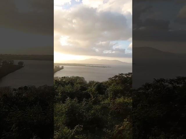 OVER LOOKING IN LAGUNA LAKE
