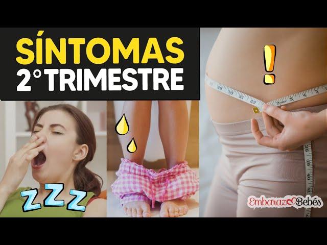 SÍNTOMAS y Molestias del 2º TRIMESTRE de Embarazo