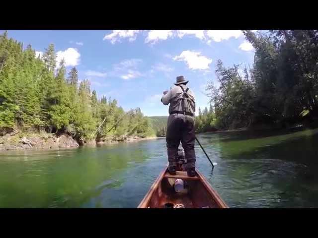 Gaspe Atlantic Salmon & Striped Bass. June 2014.