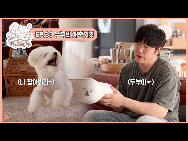 두두두두두 l EP.33 두부의 개춘기?!
