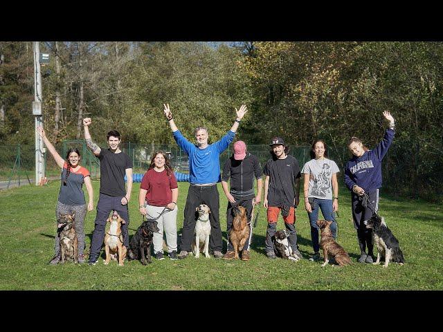 Curso de adiestrador canino homologado PRESENCIAL