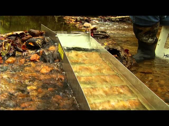 How to Sluice for Gold: Gold Fever Ep164 Clip
