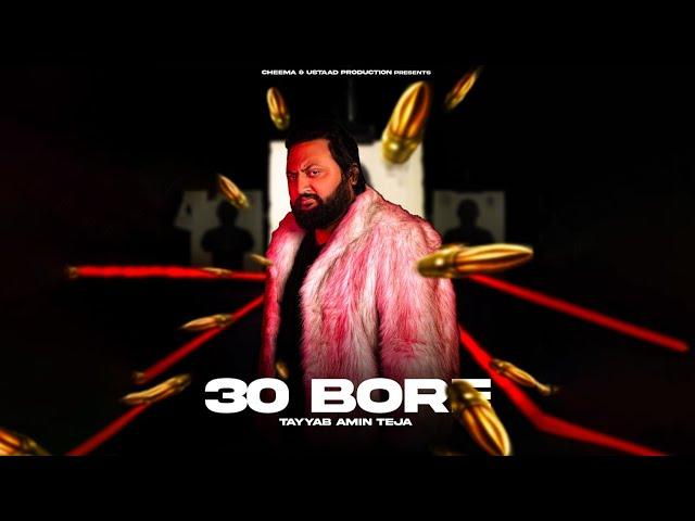 30 BORE (Official Video) TAYYAB AMIN TEJA | Prod. ZP Music | New Pakistani Punjabi Song 2025