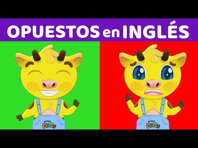 LOS OPUESTOS EN INGLÉS  | CLASE DE INGLÉS PARA NIÑOS AMIGO MUMU