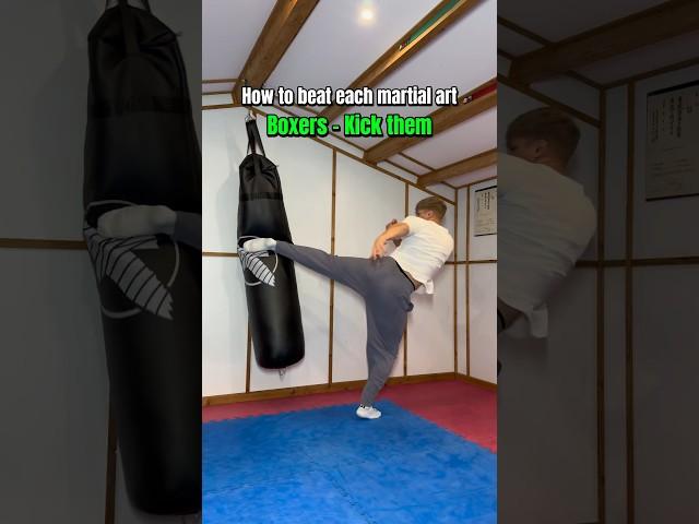 How to BEAT each martial art