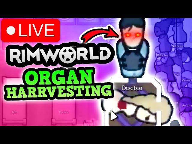 Rimworld IS A PERFECTLY BALANCED GAME WITH NO EXPLOITS - Organ Harvesting Live (CHRISTMAS STREAM)