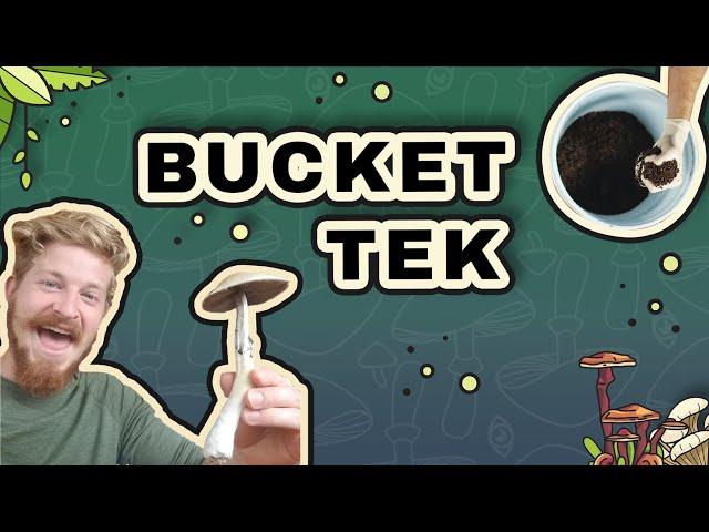 Bucket TEK Pasteurization: How to prep your Bulk Substrate!