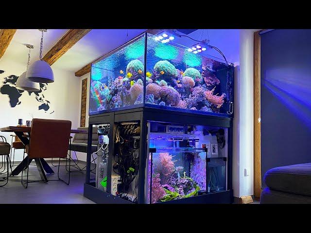 GERMAN REEF TANKS - 850 liter Masterpiece with a "Seahorse-Sump" - CORAL AQUARIUM *highlights*