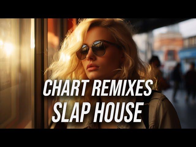 Best Slap House Mix 2024 | Remixes Of Popular Songs