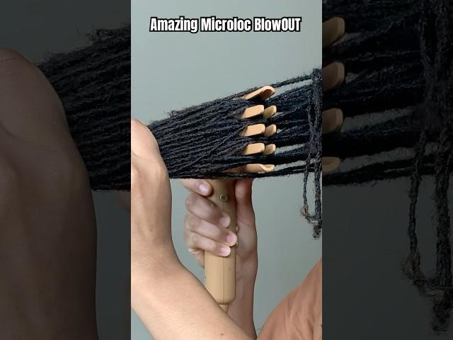 Microloc Blowout using PATTERN Dryer Attachment | AMAZING hair dryer for #microlocs #microlocks
