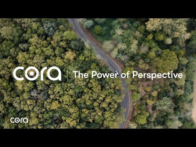 Cora Systems  - The Power of Perspective