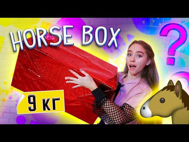 БОЛЬШАЯ распаковка Horse BOX !