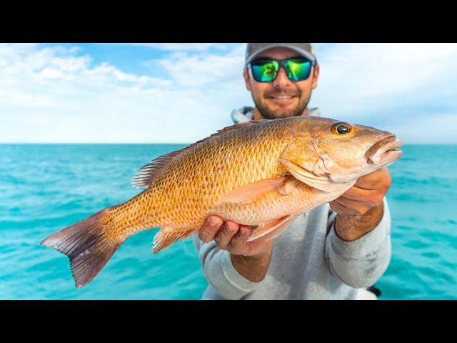 This Spot Was LOADED with BIG Snapper! (Surprise Catch)