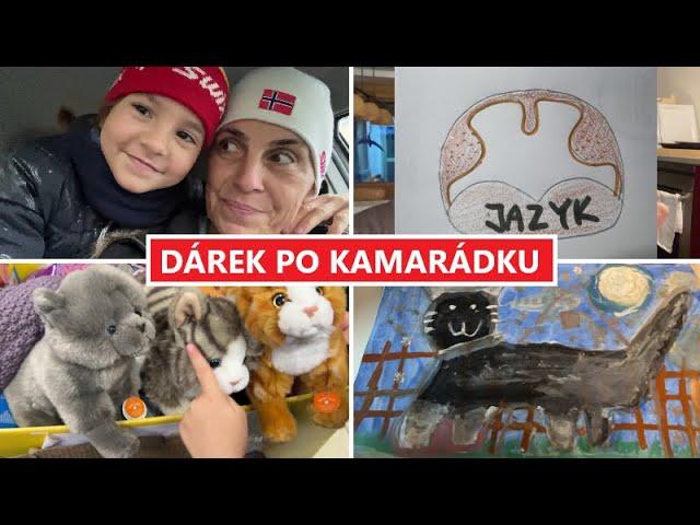 NEPOVEDENÁ OPERACE, DÁREK PRO KAMARÁDKU  | MamaVlog#600 | Máma v Německu