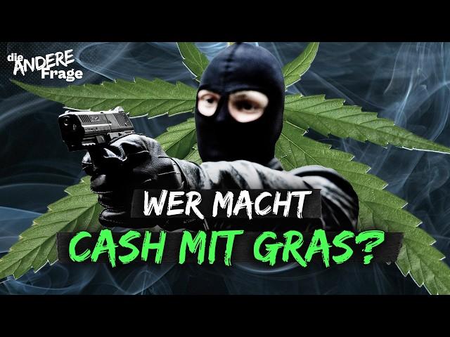 Cannabis Legalisierung: Wer wirklich profitiert | Die andere Frage