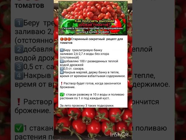 основные подкормки помидор