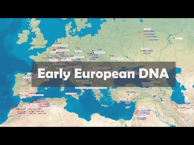 Early European DNA