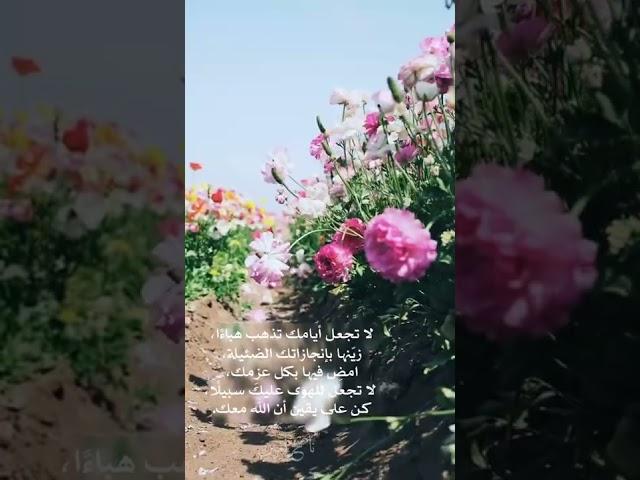 [ وَكَذَٰلِكَ يَجْتَبِيكَ رَبُّكَ وَيُعَلِّمُكَ مِنْ تَأْوِيلِ الْأَحَادِيثِ ..] - القارئ إسلام صبحي