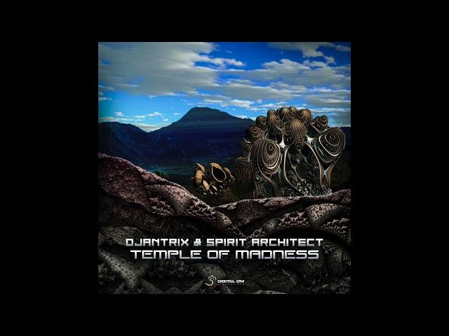 Djantrix & Spirit Architect - Temple of Madness