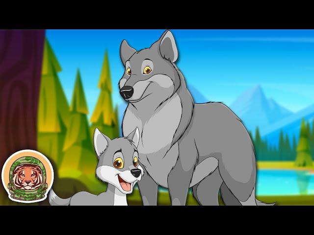 Meet The Wolf & Their Pack! | Animal Songs For Kids | KLT Wild