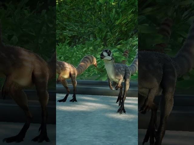 Sinosauropteryx Does a Little Butt Wiggle Before Pouncing Towards His Mate #jwe2 #shorts