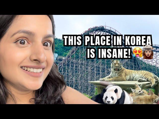 My Korean University took us to Amusement Park in South Korea | Korea's largest amusement Park