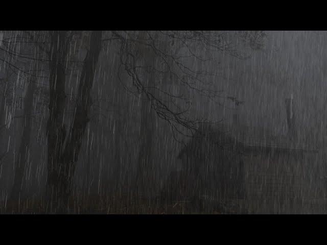 下雨聲8小時無廣告版深層睡眠 (rain with no ads) 打雷下雨的有助睡眠與療癒舒壓,消除疲勞 癒,冥想,專注力,瑜伽音樂,咖啡廳