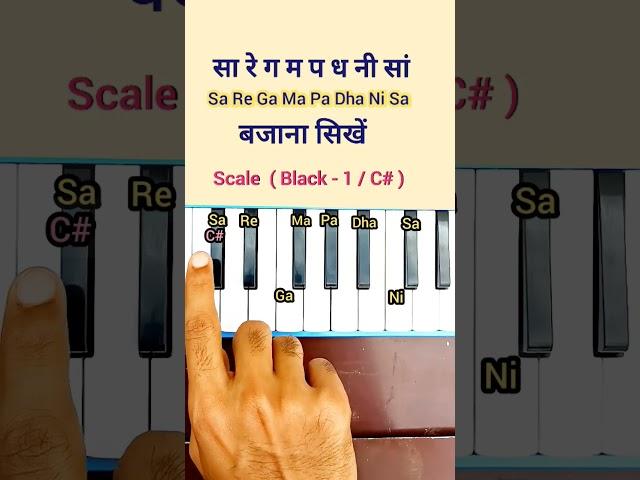 Sa Re Ga Ma Pa Dha Ni Sa बजाना सिखें Harmonium पर | #shorts