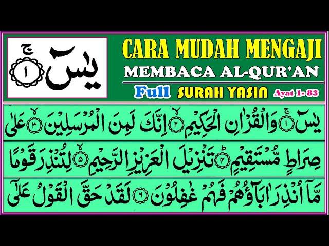 BELAJAR NGAJI SURAH YASIN Full, Pelan pelan